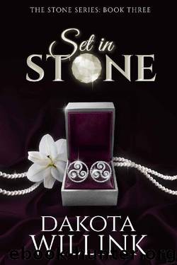 Set In Stone by Dakota Willink