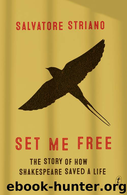 Set Me Free by Salvatore Striano & Brigid Maher