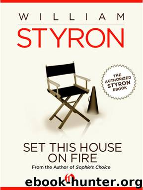 Set This House on Fire by William Styron