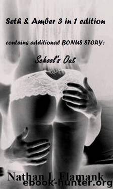 Seth & Amber: 3 in 1 Edition (Exclusive Bonus Story) (A Seth & Amber Erotic Tale) by Flamank Nathan L