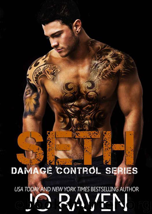 Seth (Damage Control #3) by Jo Raven