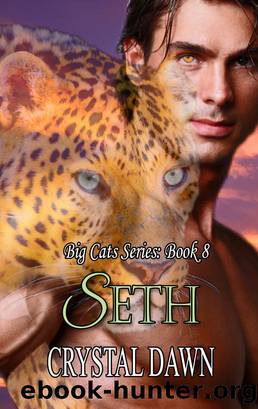 Seth by Crystal Dawn