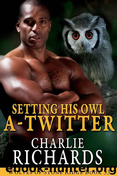 Setting His Owl A-Twitter (Wolves of Stone Ridge Book 33) by Richards Charlie