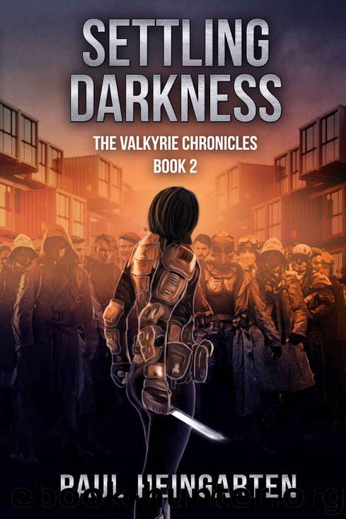 Settling Darkness by Paul Heingarten