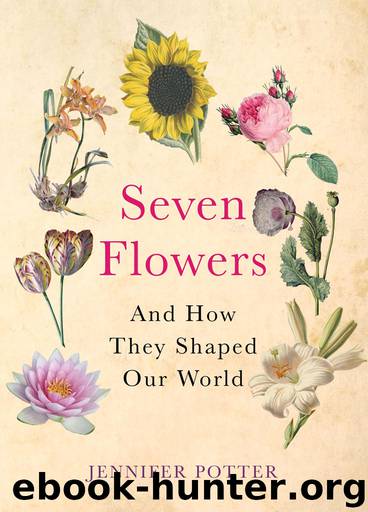 Seven Flowers by Jennifer Potter