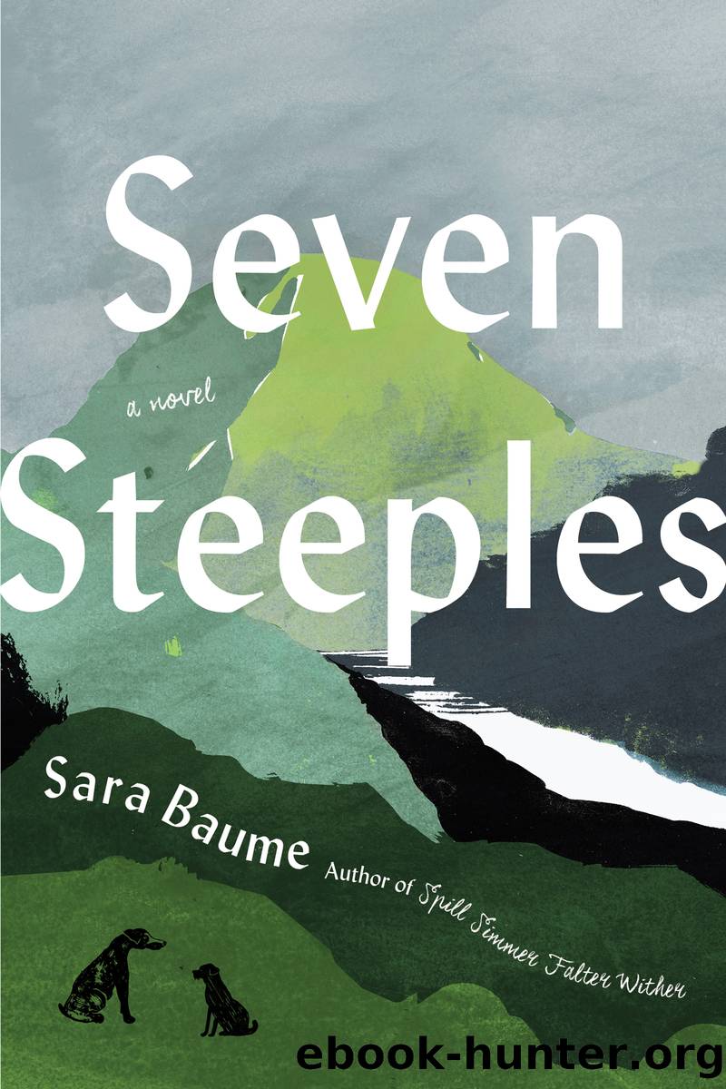 Seven Steeples by Sara Baume