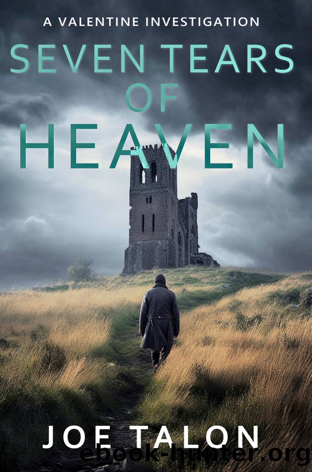 Seven Tears Of Heaven: A crime mystery from Somerset (A Valentine Investigation Book 2) by Joe Talon