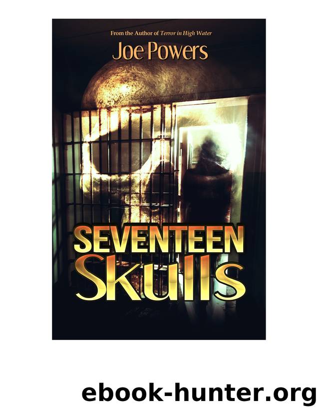Seventeen Skulls by Joe Powers