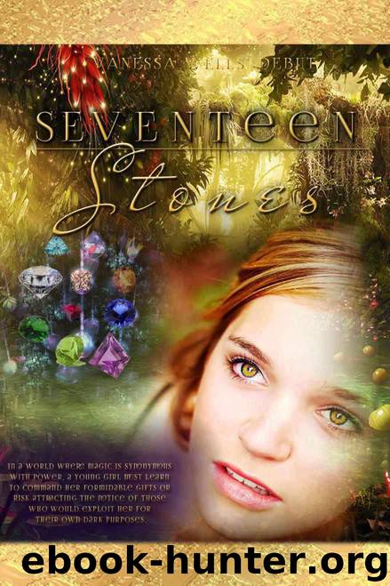 Seventeen Stones by Wells Vanessa