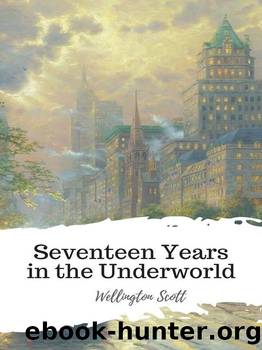 Seventeen Years in the Underworld by Wellington Scott