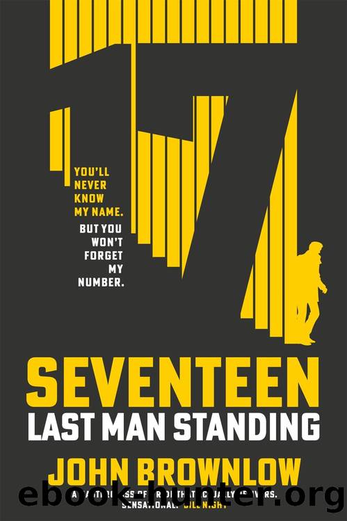 Seventeen by John Brownlow
