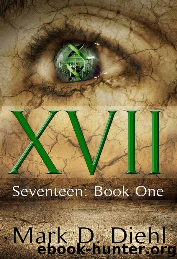 Seventeen: Book One by Mark D. Diehl