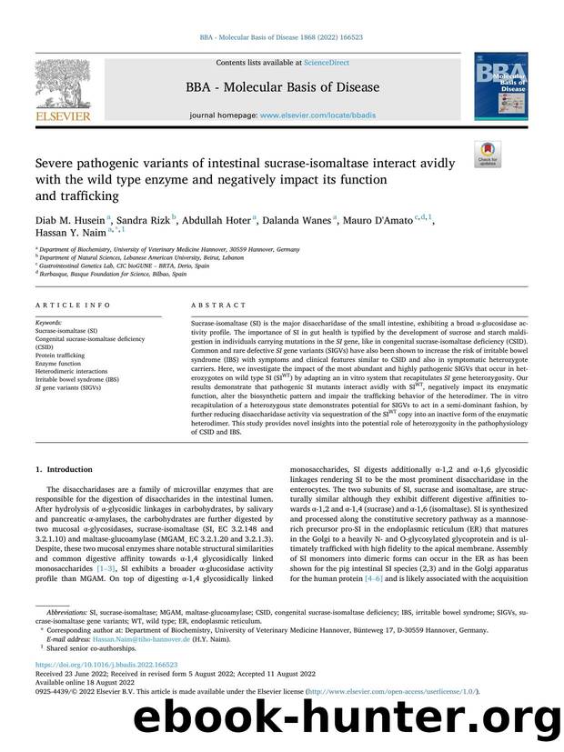 Severe pathogenic variants of intestinal sucrase-isomaltase interact avidly with the wild type enzyme and negatively impact its function and trafficking by Diab M. Husein & Sandra Rizk & Abdullah Hoter & Dalanda Wanes & Mauro D'Amato & Hassan Y. Naim