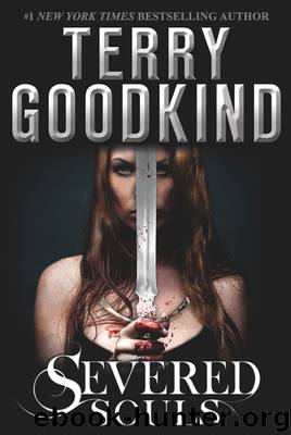 Severed Souls by Terry Goodkind