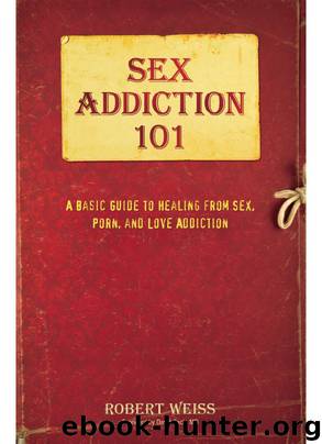 Sex Addiction 101 by Robert Weiss