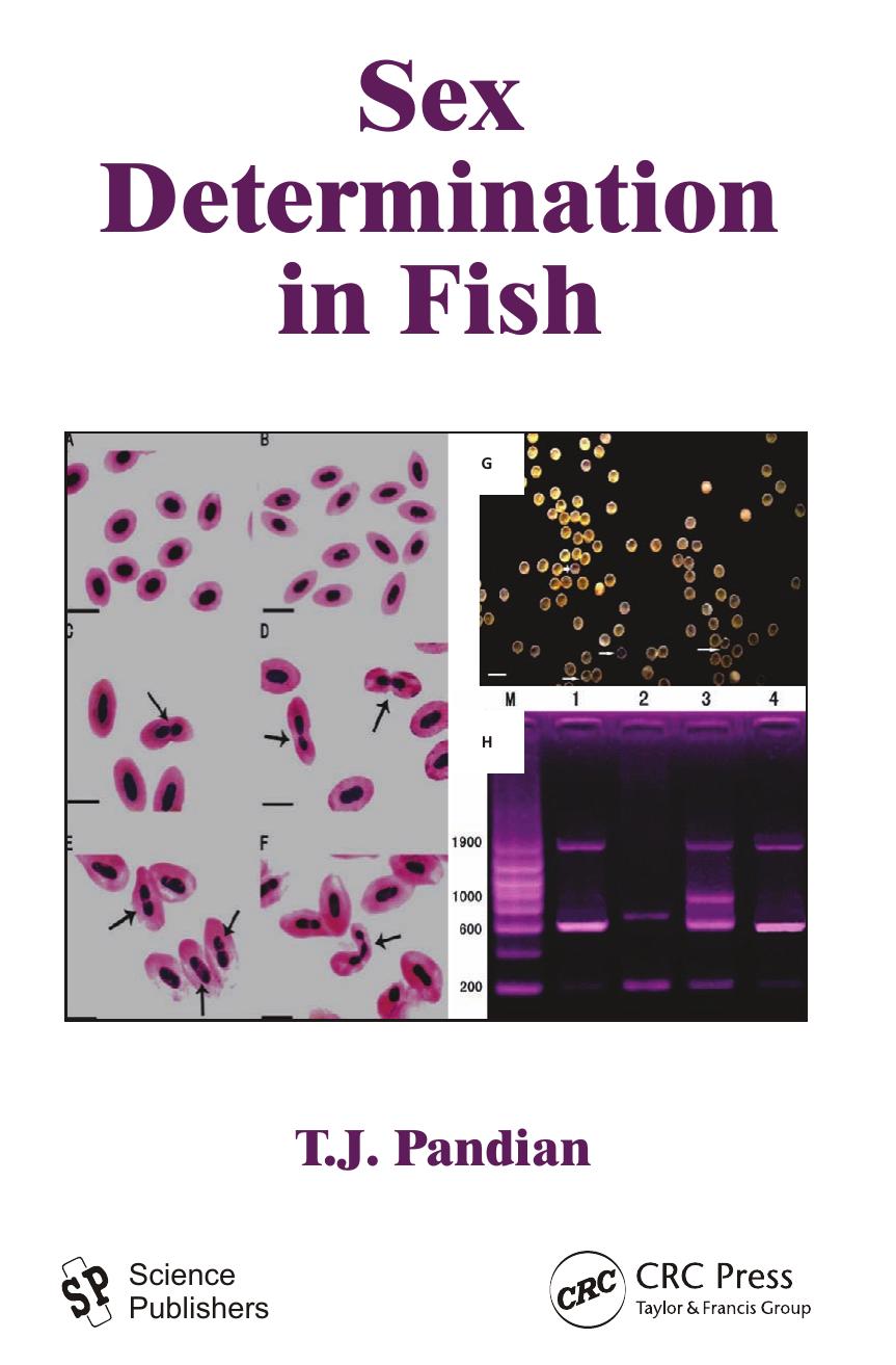 Sex Determination in Fish by Pandian T. J