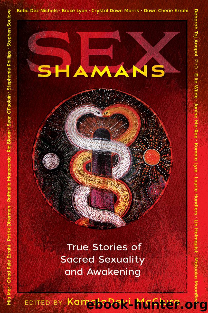 Sex Shamans by KamalaDevi McClure