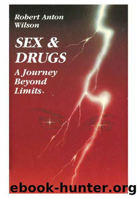 Sex and Drugs: A Journey Beyond the Limits by Robert Anton Wilson