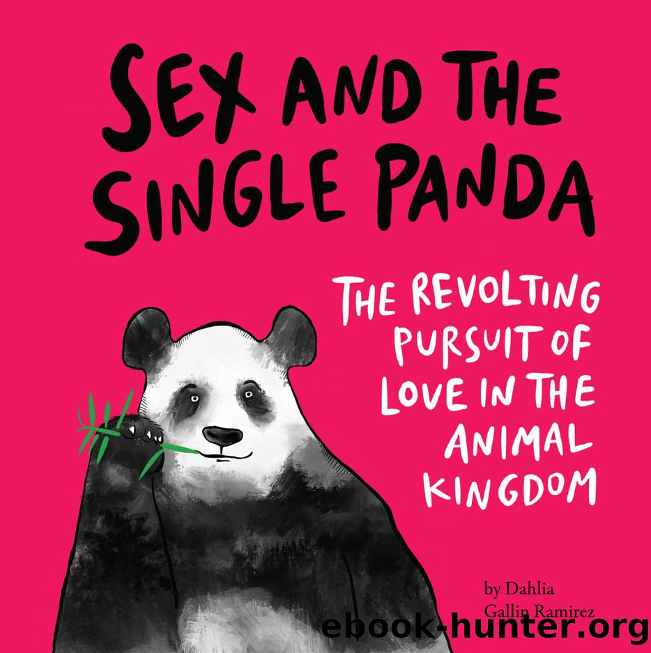 Sex and the Single Panda by Dahlia Gallin Ramirez
