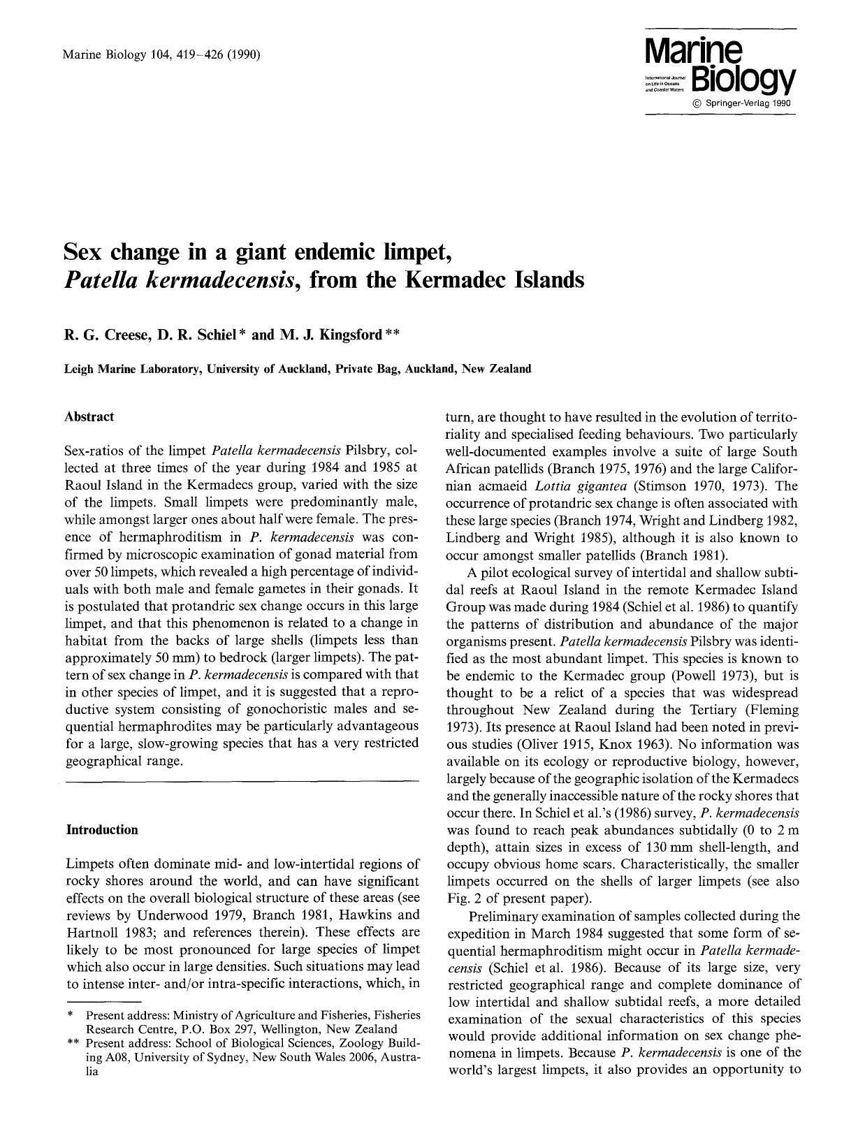 Sex change in a giant endemic limpet, <Emphasis Type="Italic">Patella kermadecensis <Emphasis>, from the Kermadec Islands by Unknown