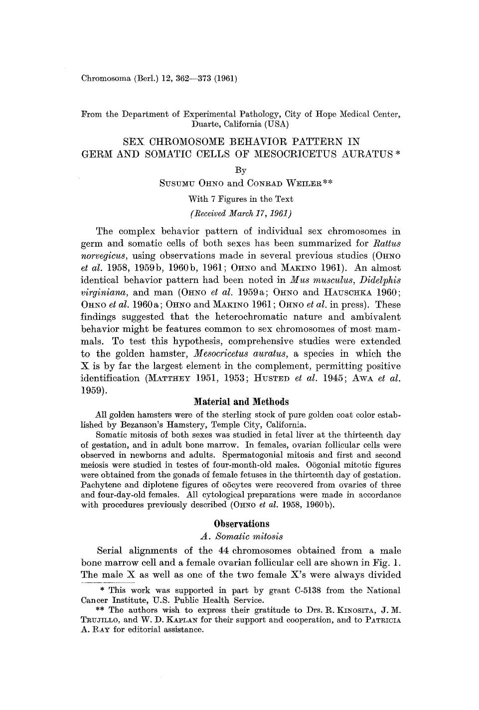Sex chromosome behavior pattern in germ and somatic cells of <Emphasis Type="Italic">Mesocricetus auratus<Emphasis> by Unknown