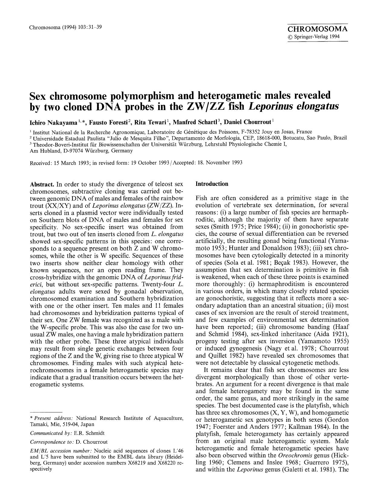 Sex chromosome polymorphism and heterogametic males revealed by two cloned DNA probes in the ZWZZ fish <Emphasis Type="Italic">Leporinus elongatus<Emphasis> by Unknown