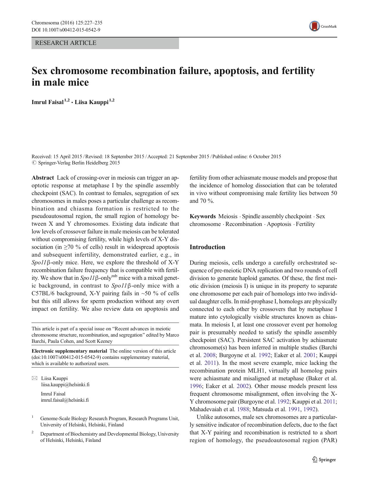 Sex chromosome recombination failure, apoptosis, and fertility in male mice by Imrul Faisal & Liisa Kauppi