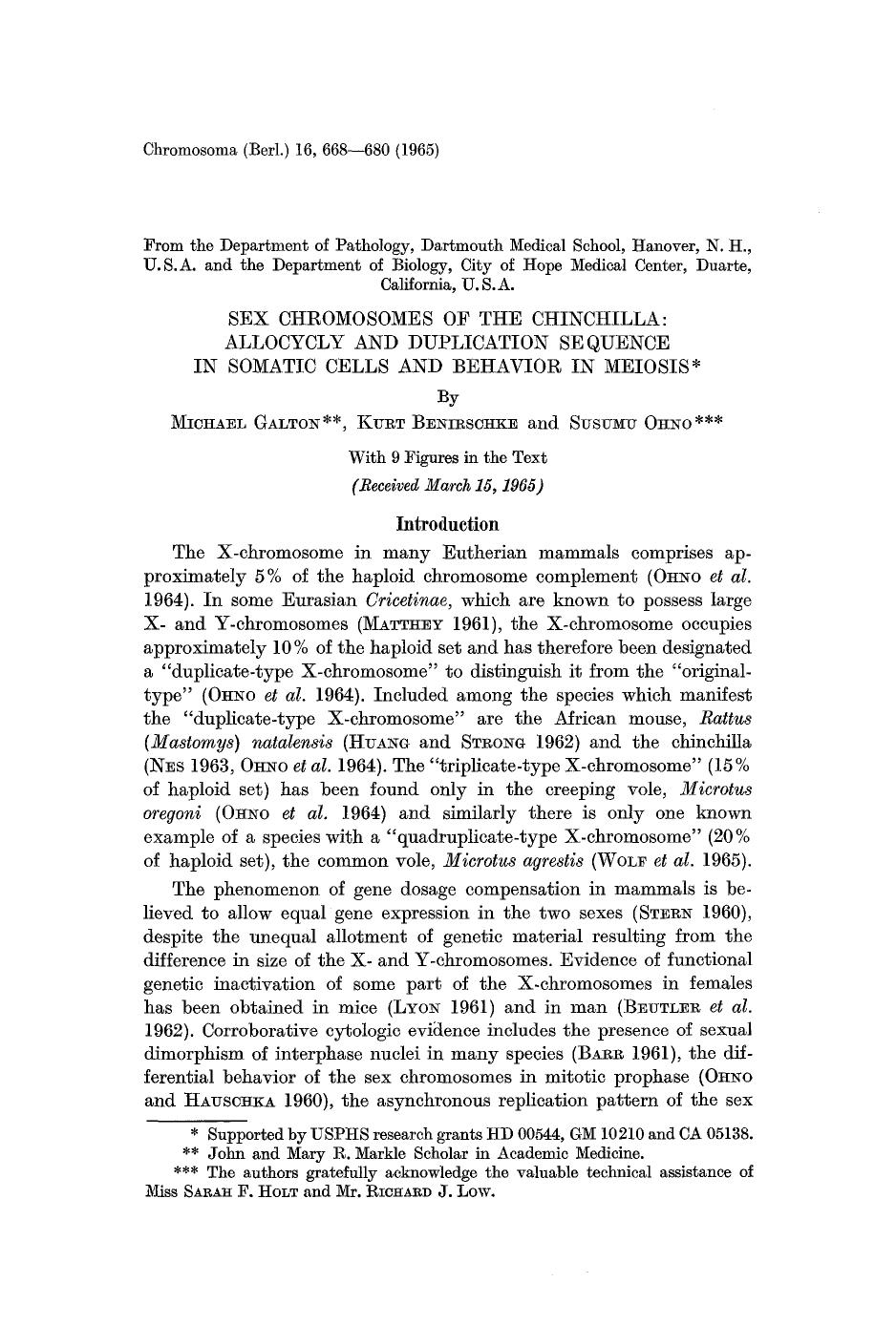 Sex chromosomes of the chinchilla: Allocycly and duplication sequence in somatic cells and behavior in meiosis by Unknown