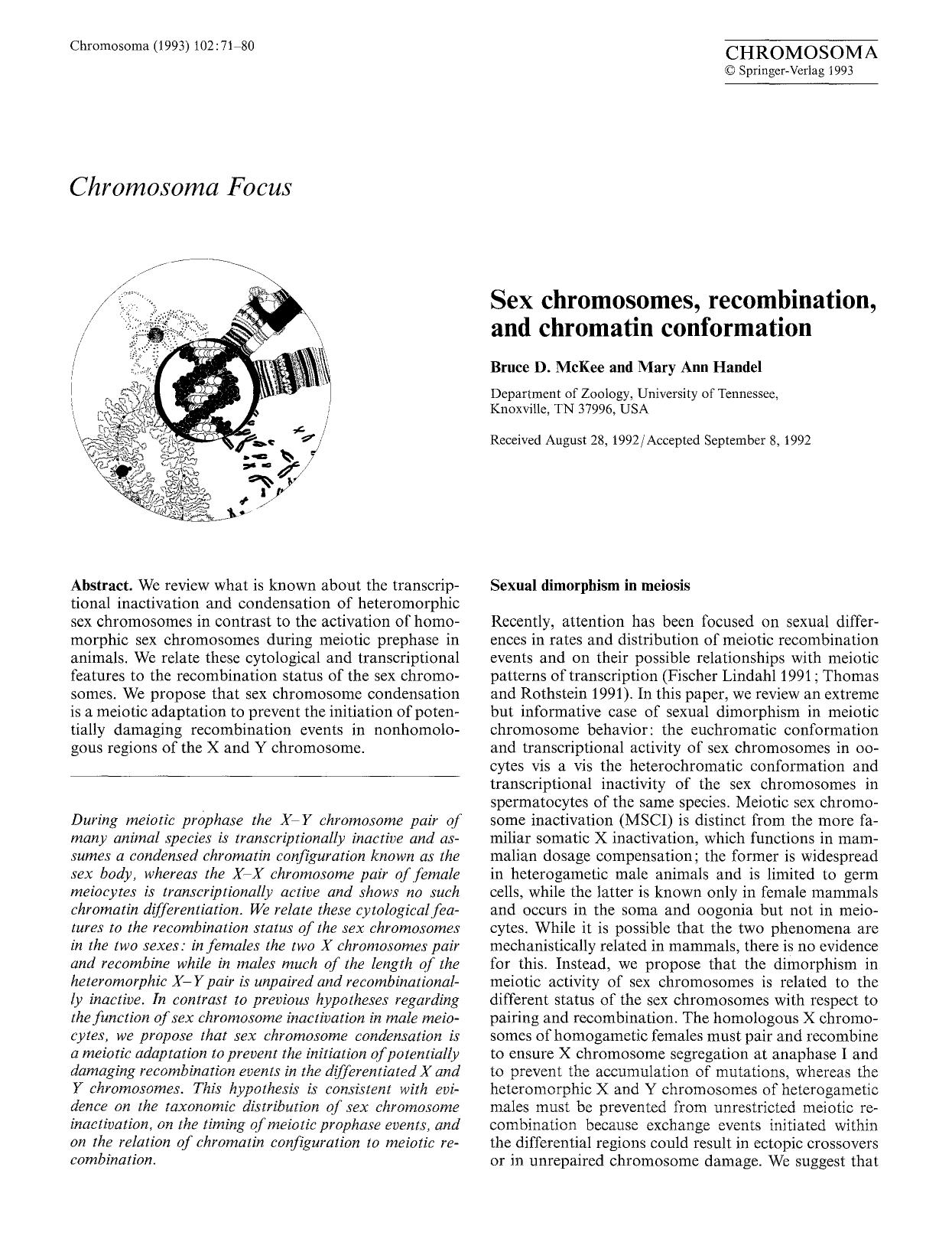 Sex chromosomes, recombination, and chromatin conformation by Unknown
