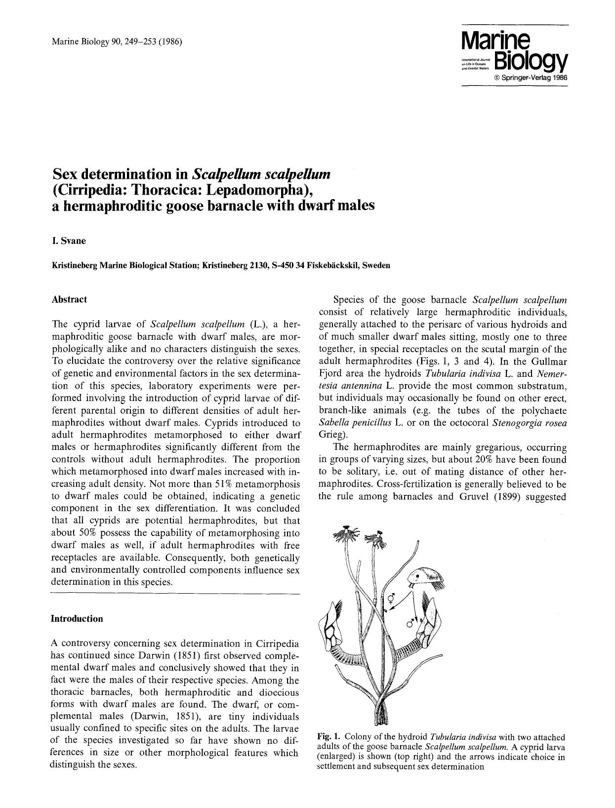 Sex determination in <Emphasis Type="Italic">Scalpellum scalpellum <Emphasis> (Cirripedia: Thoracica: Lepadomorpha), a hermaphroditic goose barnacle with dwarf males by Unknown