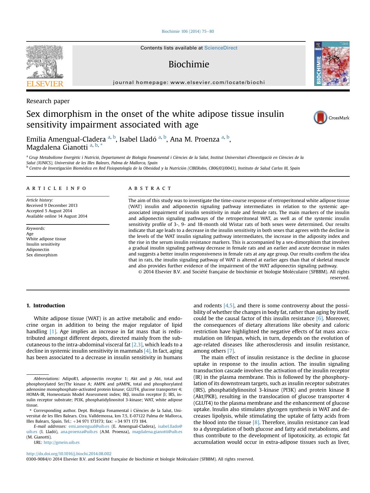 Sex dimorphism in the onset of the white adipose tissue insulin sensitivity impairment associated with age by Emilia Amengual-Cladera & Isabel Lladó & Ana M. Proenza & Magdalena Gianotti