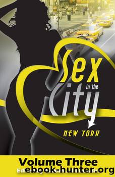 Sex in the City--New York, Volume Three by Maxim Jakubowski