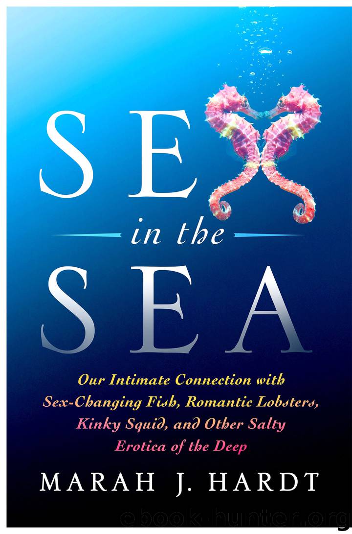 Sex in the Sea by Marah J. Hardt