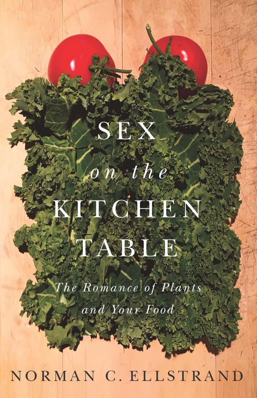 Sex on the Kitchen Table: The Romance of Plants and Your Food by Unknow