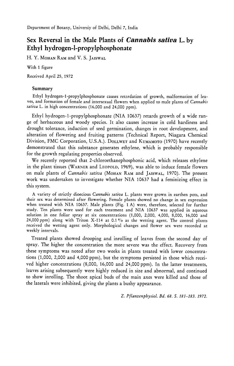 Sex reversal in the male plants of Cannabis sativa L. by ethyl hydrogen-l-propylphosphonate by H.Y. Mohan Ram & V.S. Jaiswal