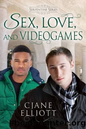 Sex, Love, and Videogames by CJane Elliott