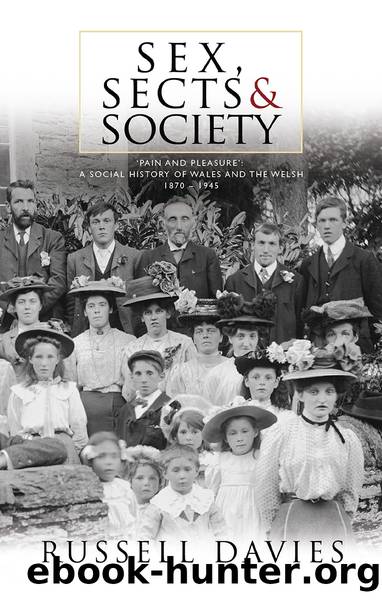Sex, Sects and Society: 'Pain and Pleasure': a Social History of Wales and the Welsh, 1870-1945 by Russell Davies