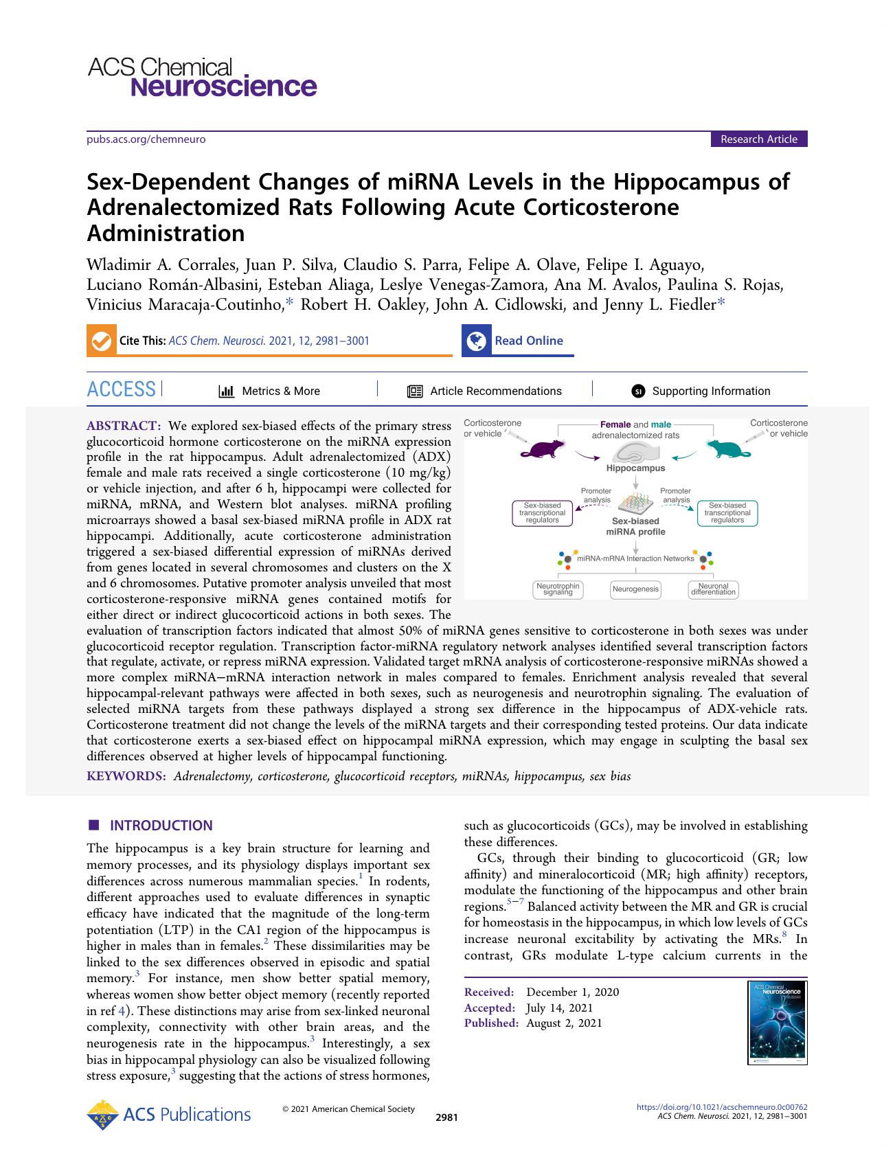 Sex-Dependent Changes of miRNA Levels in the Hippocampus of Adrenalectomized Rats Following Acute Corticosterone Administration by unknow