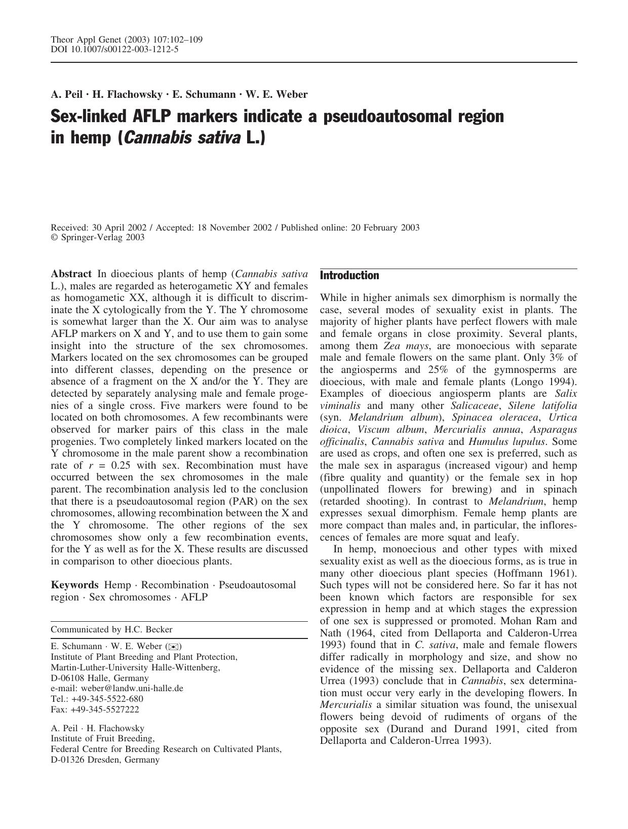 Sex-linked AFLP markers indicate a pseudoautosomal by Unknown