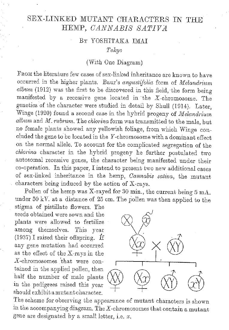 Sex-linked Mutant Characteristics in Cannabis Sativa (1937) by Unknown