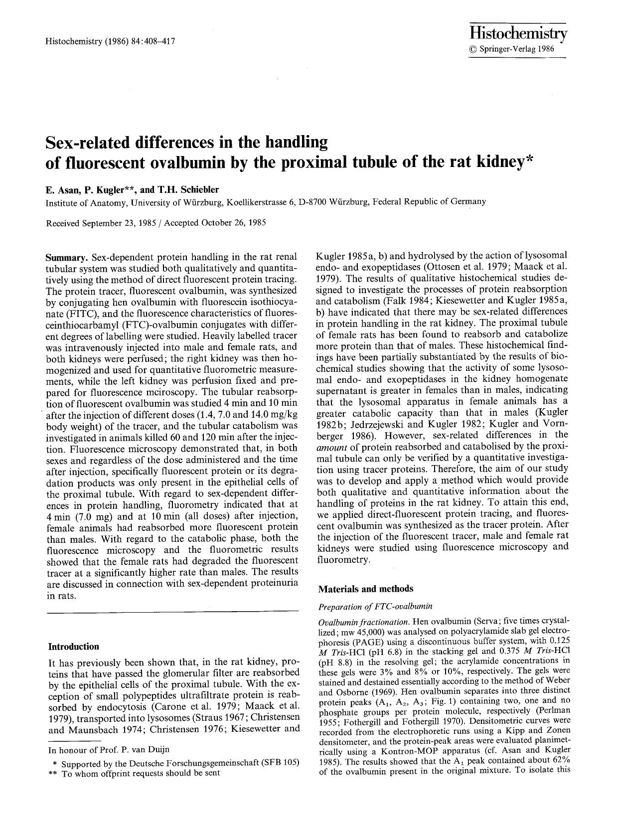 Sex-related differences in the handling of fluorescent ovalbumin by the proximal tubule of the rat kidney by Unknown