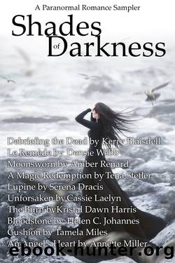 Shades of Darkness by Wild Rose Press