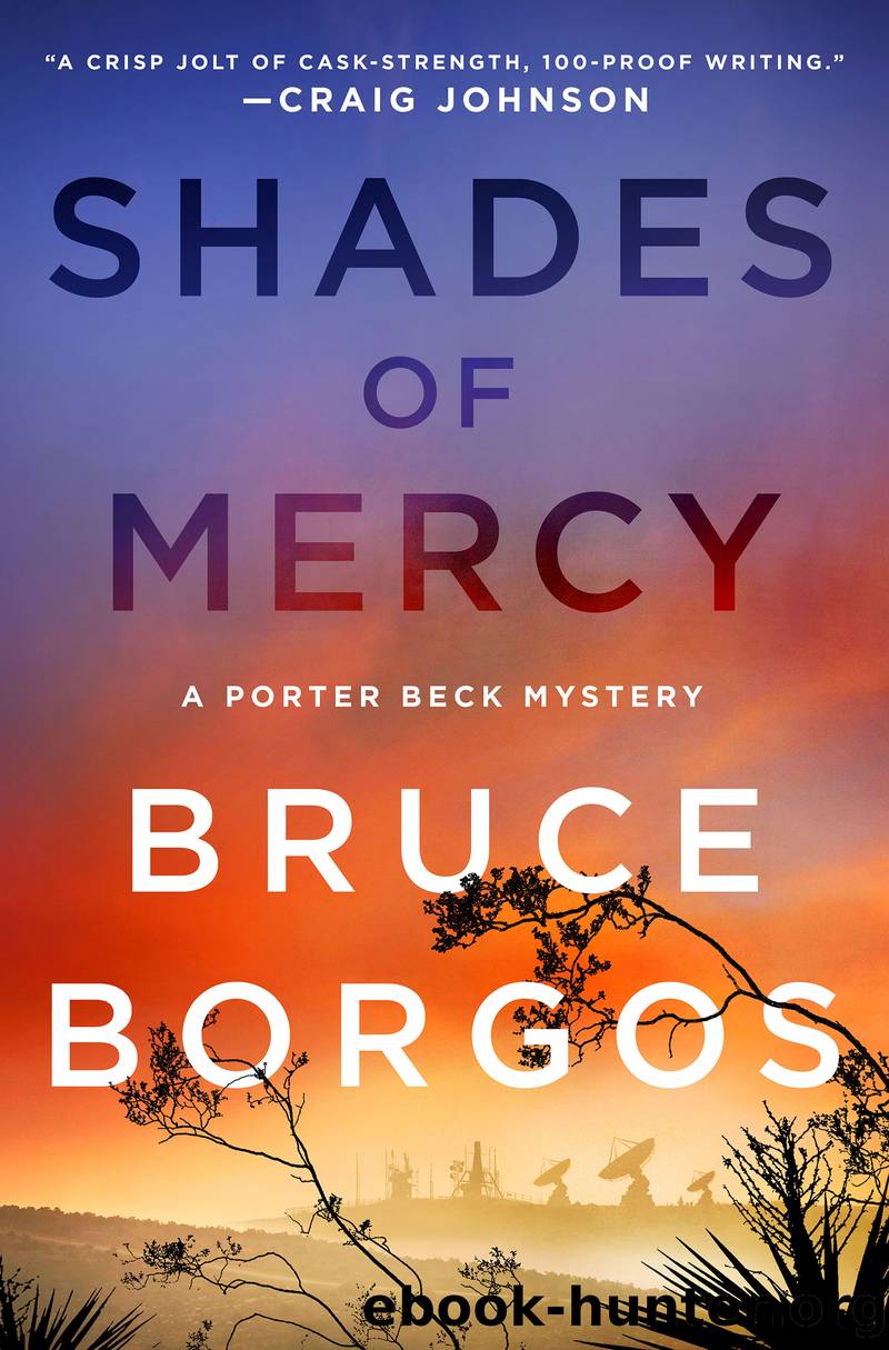 Shades of Mercy by Bruce Borgos
