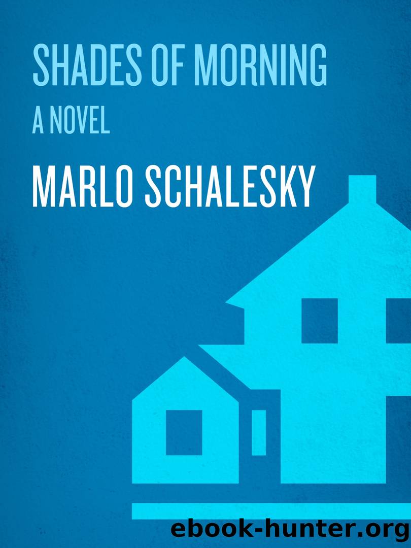 Shades of Morning by Marlo Schalesky