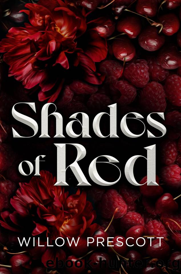 Shades of Red (Sharp Edges Duet Book 1) by Willow Prescott
