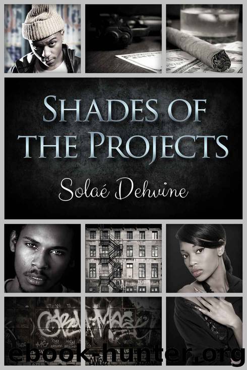 Shades of the Projects 2 by Solae Dehvine