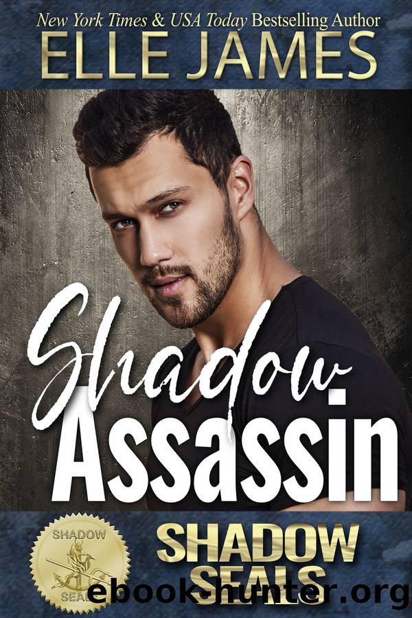 Shadow Assassin by Elle James