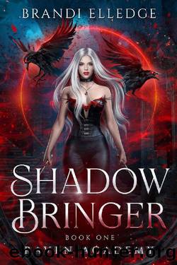 Shadow Bringer: Raven Academy by Brandi Elledge