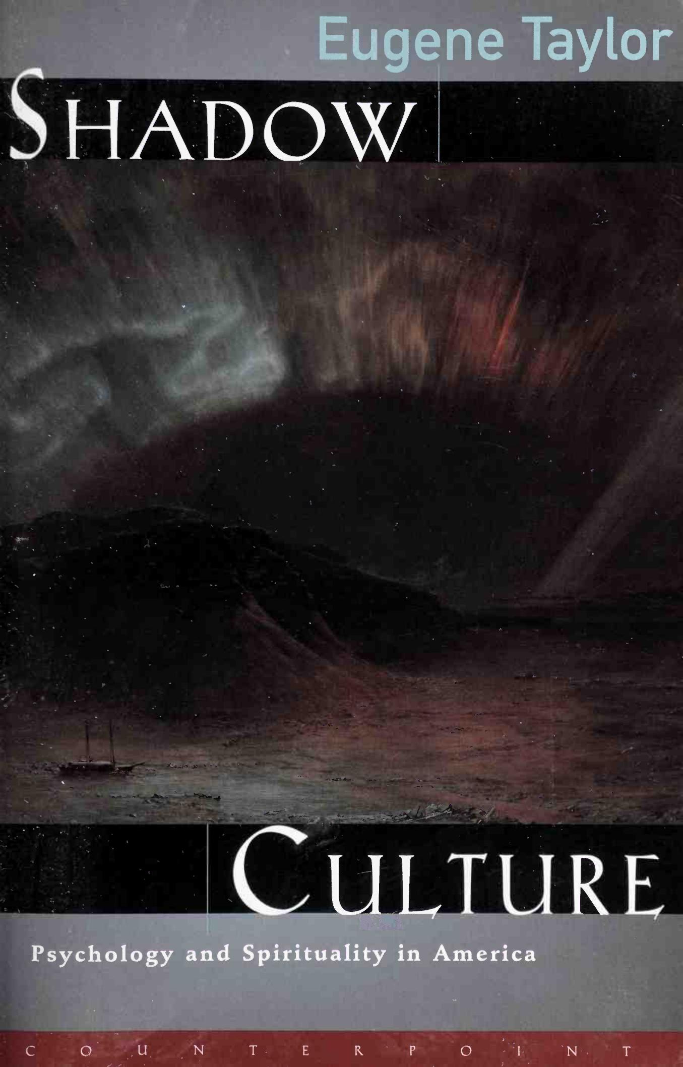 Shadow Culture: Psychology and Spirituality in America by Eugene Taylor