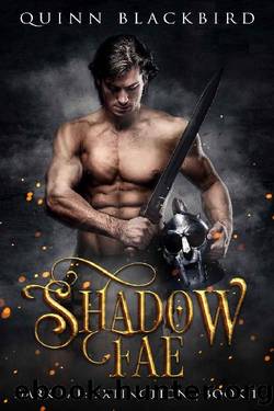 Shadow Fae: A Dark Paranormal Romance, Enemies to Lovers (Dark Fae: Extinction Book 1) by Quinn Blackbird